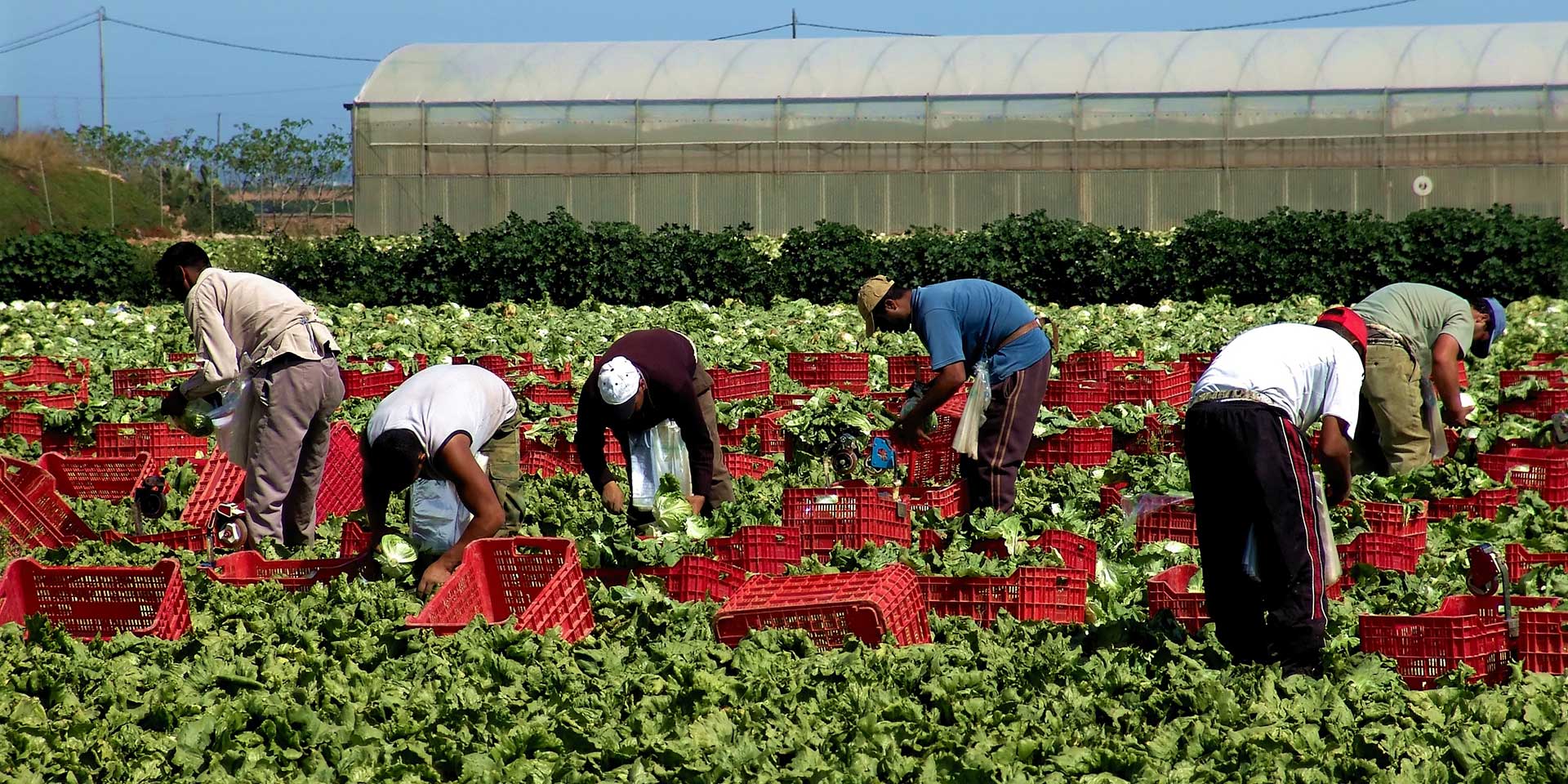 Agricultural Work Sites